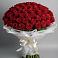 101 Красная роза Блэк Мэджик в Толбазы Букет 101 Красная роза Блэк Мэджик в Толбазы