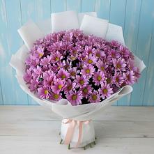 Букет цветов из:  Хризантемы в Толбазы