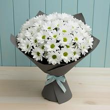 Букет белые хризантемы в Толбазы Букет цветов из:  Хризантемы в Толбазы
