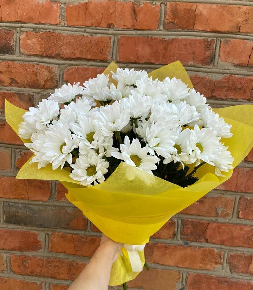 Букет Застенчивые лепестки в Толбазы Букет цветов из: Хризантемы в Толбазы