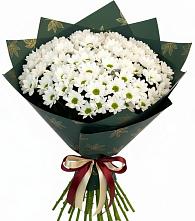 Букет цветов из:  Хризантемы в Толбазы