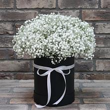 Композиция коробка гипсофил в Толбазы Цветочная композиция из Гипсофила в шляпной коробке в Толбазы