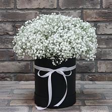 Цветочная композиция из Гипсофила в шляпной коробке в Толбазы