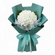 Букет Лёгкое облако в Толбазы Букет цветов из:  Гортензия в Толбазы